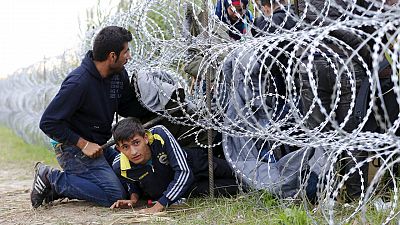 Refugiados sirios cruzan hacia Hungra bajo la alambrada metlica desplegada en la frontera con Serbia.