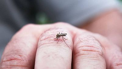 Aquí la tierra - ¿Cómo evitar las picaduras de mosquitos?