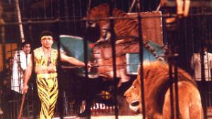 Fotograma de Especial Reyes. Circo sobre hielo de ngel Cristo y Brbara Rey