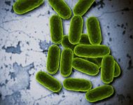 'Derrotando a las superbacterias' 'Derrotando a las superbacterias'