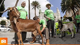 Las mejores imágenes de la campaña electoral de municipales y autonómicas Las mejores imágenes de la campaña electoral de municipales y autonómicas