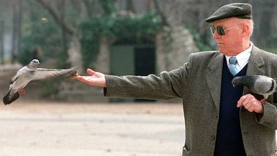 Un jubilado da de comer a los pájaros en el Retiro Un jubilado da de comer a los pájaros en el Retiro