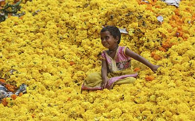 Una niña juega sobre un montón de claveles