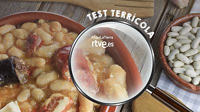 ¿Cuánto sabes sobre guisos tradicionales? ¿Cuánto sabes sobre guisos tradicionales?