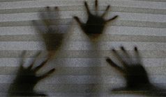 En ocasiones necesitaremos de vuestra colaboración. Estad atentos a esta sección En ocasiones necesitaremos de vuestra colaboración. Estad atentos a esta sección