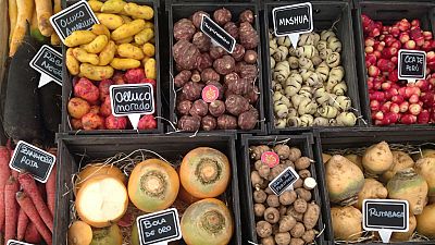 10 bocados vegetales que llegarán a nuestra cocina 10 bocados vegetales que llegarán a nuestra cocina