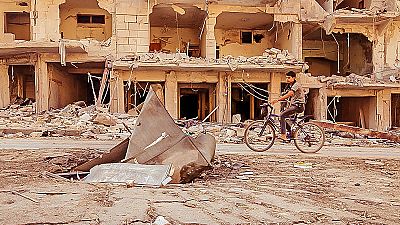 ¿Quién puede hacer estas investigaciones? ¿Quién puede hacer estas investigaciones?