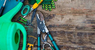 Cuidado para el huerto Cuidado para el huerto