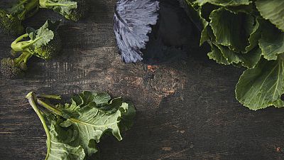 Trucos para cuidar tus coles Trucos para cuidar tus coles