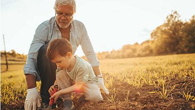 Aquí la tierra - Tareas de mantenimiento de otoño para el huerto Aquí la tierra - Tareas de mantenimiento de otoño para el huerto