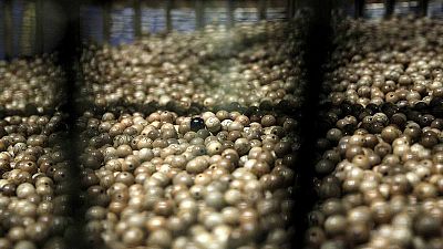 Las bolas del Sorteo Extraordinario de Navidad Las bolas del Sorteo Extraordinario de Navidad