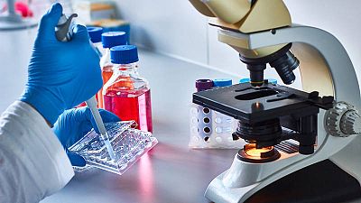 El Ejecutivo asegura que la I+D+i española cuenta con unos "niveles razonables" de financiación pública. El Ejecutivo asegura que la I+D+i española cuenta con unos "niveles razonables" de financiación pública.