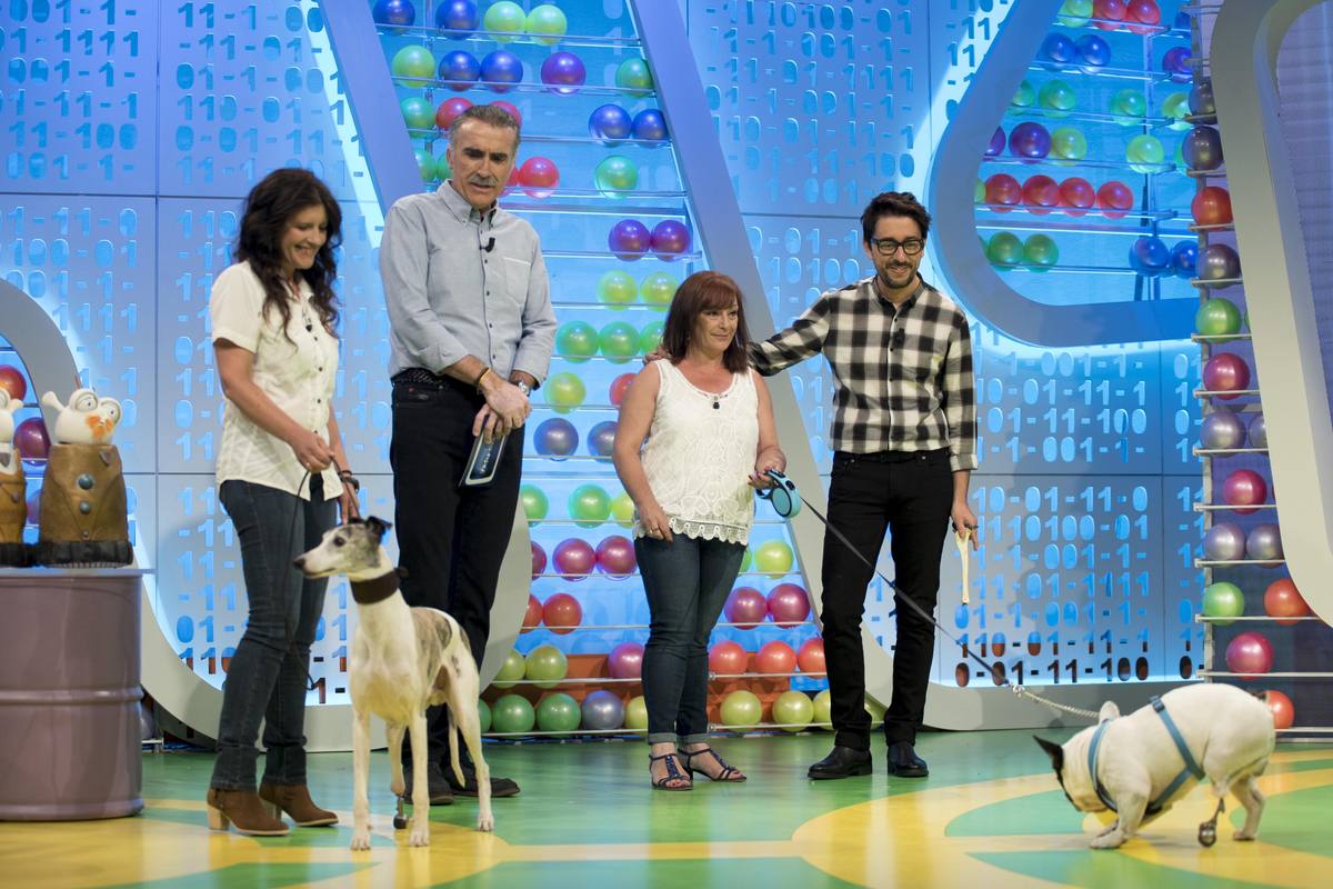 Buddy y Runner, dos perros muy especiales, son los invitados en la sección de Flipy