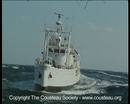 Ir al Video El 'Calypso', uno de los barcos míticos de las expediciones del capitán Cousteau