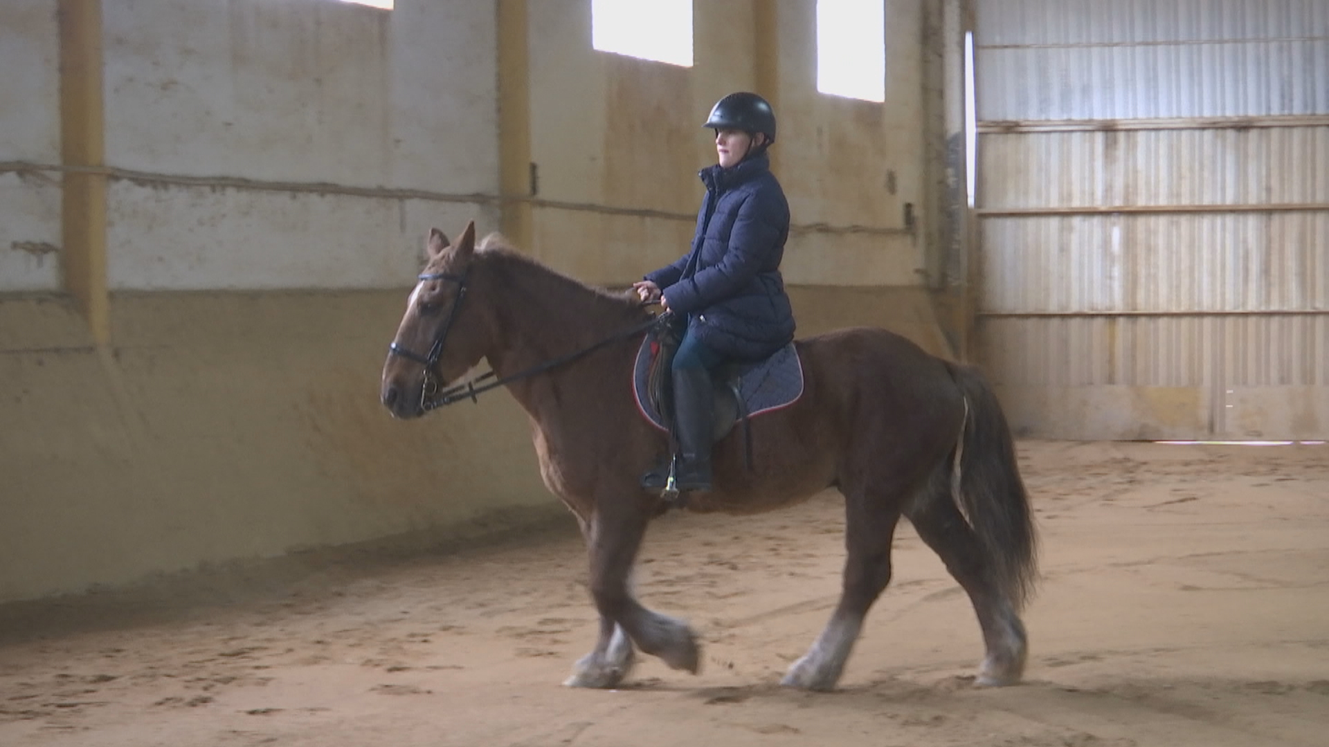 Ir al Video Cristina Landete es la primera sordociega en competir con su caballo