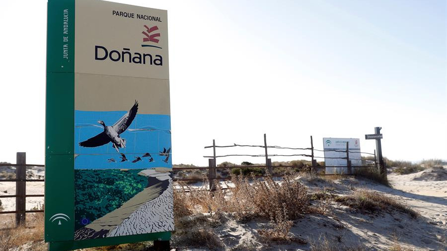 Ir al Video Las extracciones de agua en Doñana incumplen la normativa europea