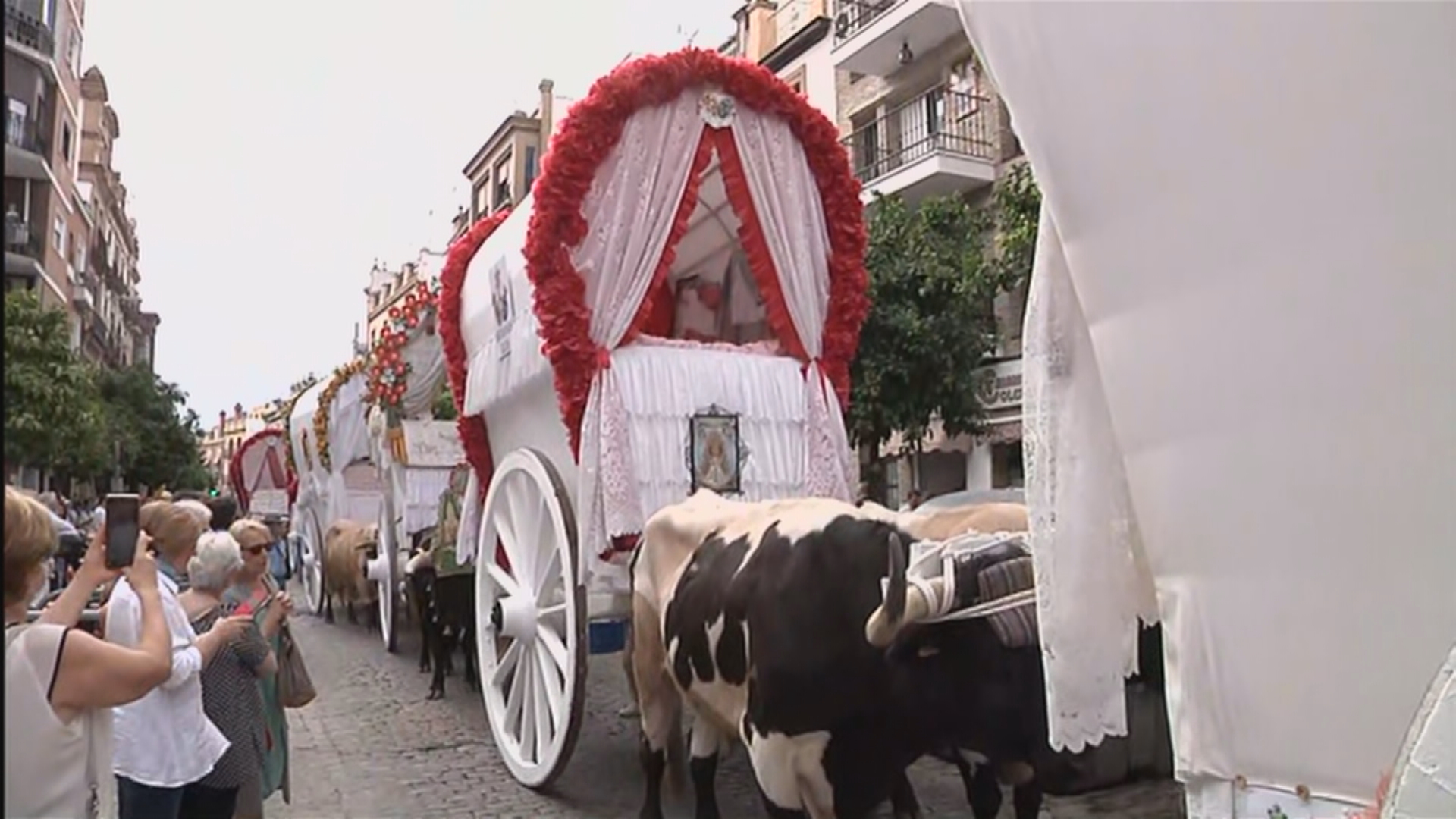 Ir al Video Las Hermandades continúan hoy la romería