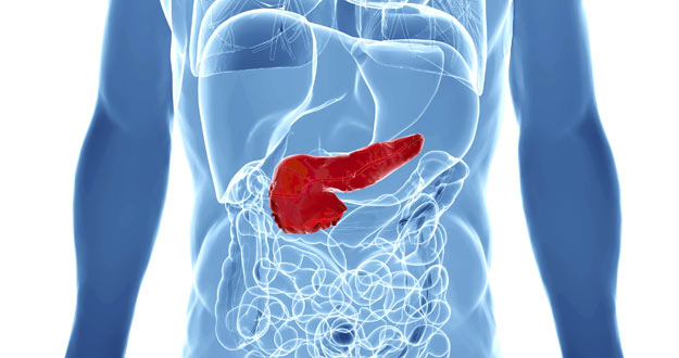 Ilustración en 3D del páncreas de un hombre.