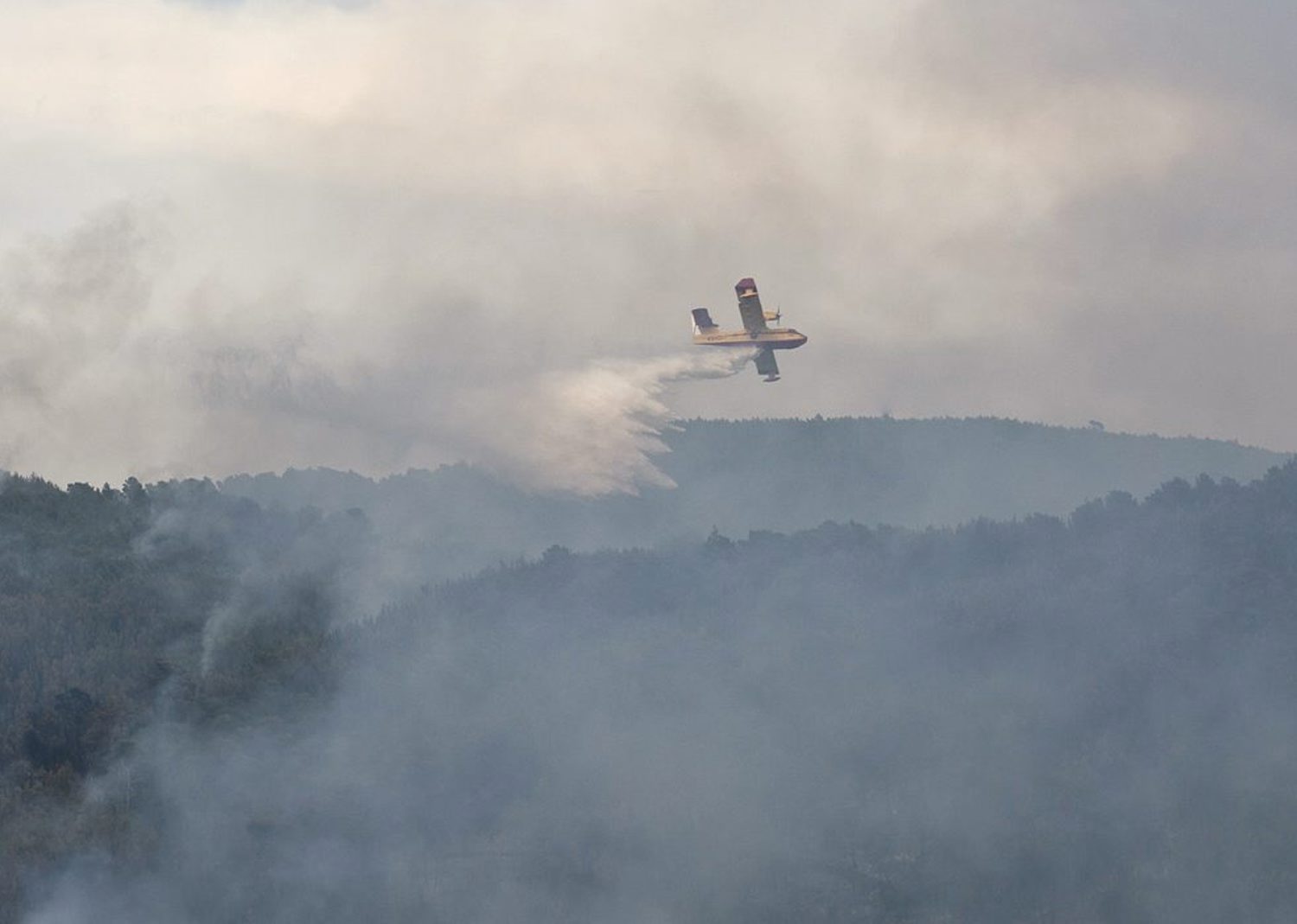 El Juez Decreta Prisi N Sin Fianza Para Presunto Autor Del Incendio De