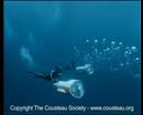 Ir al Video Inventos y tecnología del Capitán Cousteau