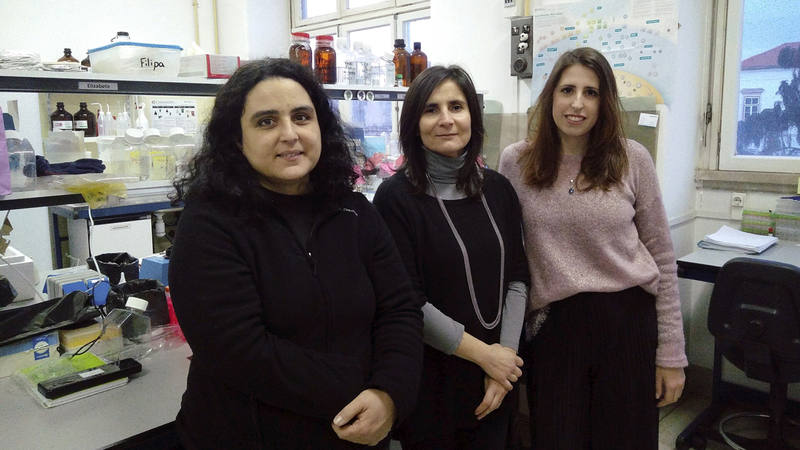 La activación de una enzima permite aliviar la enfermedad de Huntington La activación de una enzima permite aliviar la enfermedad de Huntington