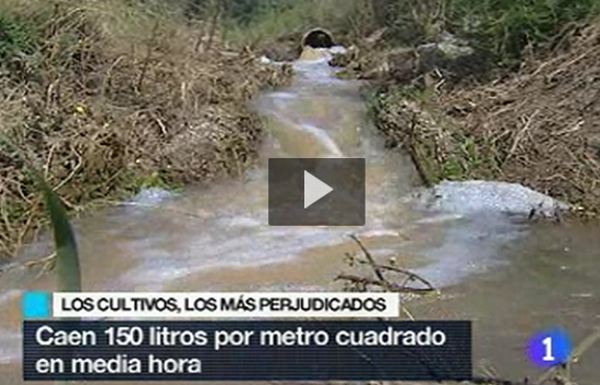 COMARCA DE LLEIDA comarca de lleida: