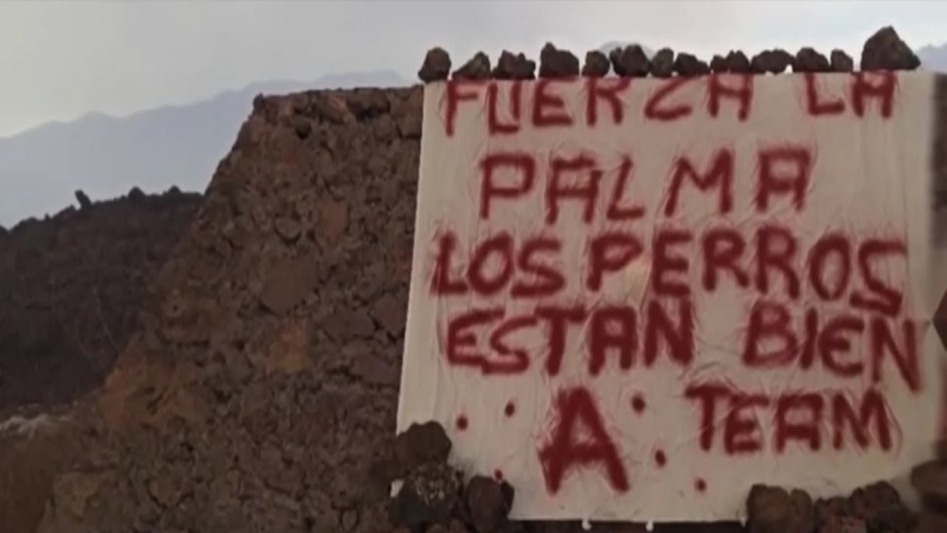 Ir al Video Un misterioso grupo se atribuye el rescate de los perros atrapados por la lava en La Palma