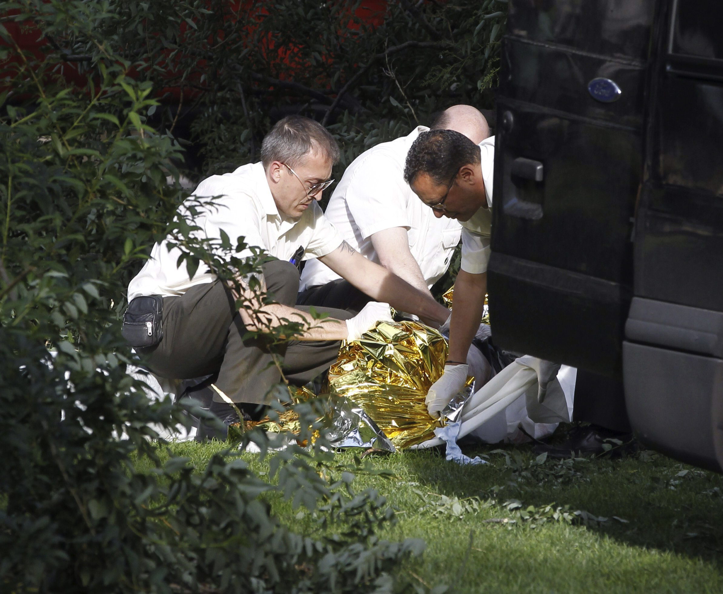 Muere un hombre al caerle encima la rama de un árbol RTVE es