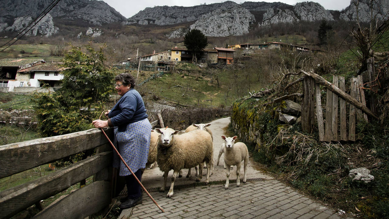 Mujer ganadera