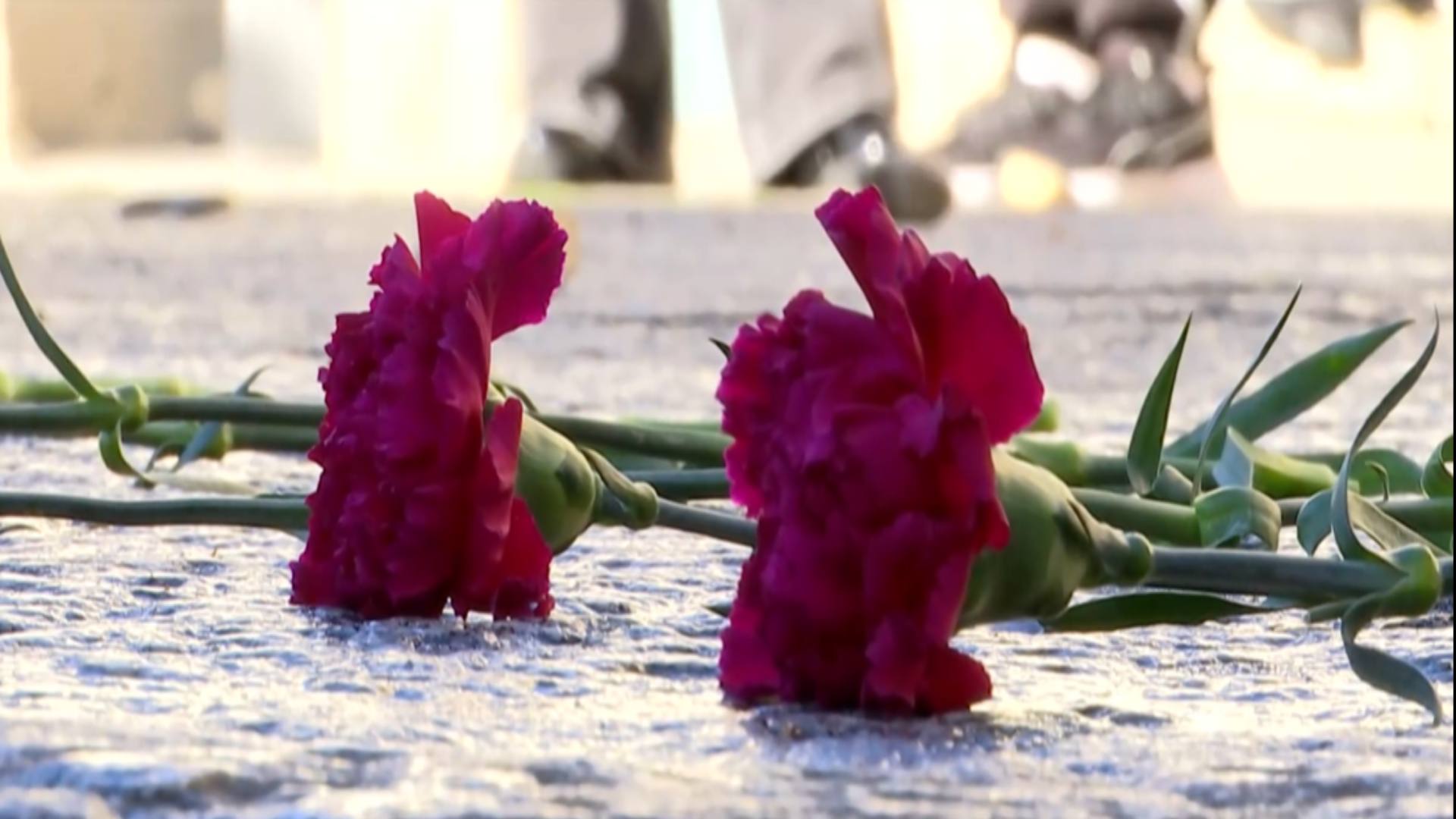 Asesinada Una Mujer Presuntamente Por Su Marido En Antella