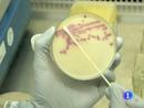 Ir al Video Nuevo brote de E.coli en Alemania