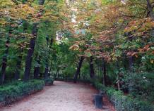 El parque del Buen Retiro (Madrid) deja entrever el otoño.