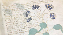Ir al Video Una pequeña editorial burgalesa realiza 898 copias del Códice Voynich