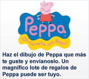 Descripci&oacute;n del concurso