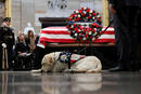 Ir a Fotogaleria  El funeral de George H.W. Bush, en imágenes