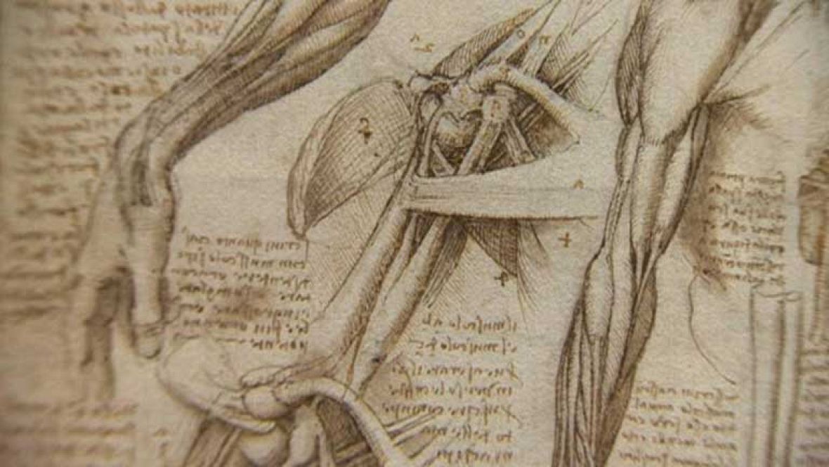 Una exposición que deja ver una faceta de Leonardo Da Vinci: La ...