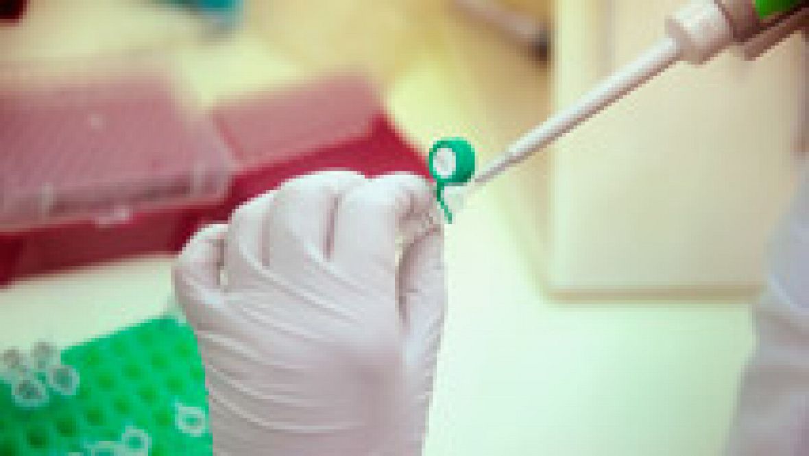 Una mujer en Madrid es el primer caso en España de contagio del zika por vía sexual Una mujer en Madrid es el primer caso en España de contagio del zika por vía sexual