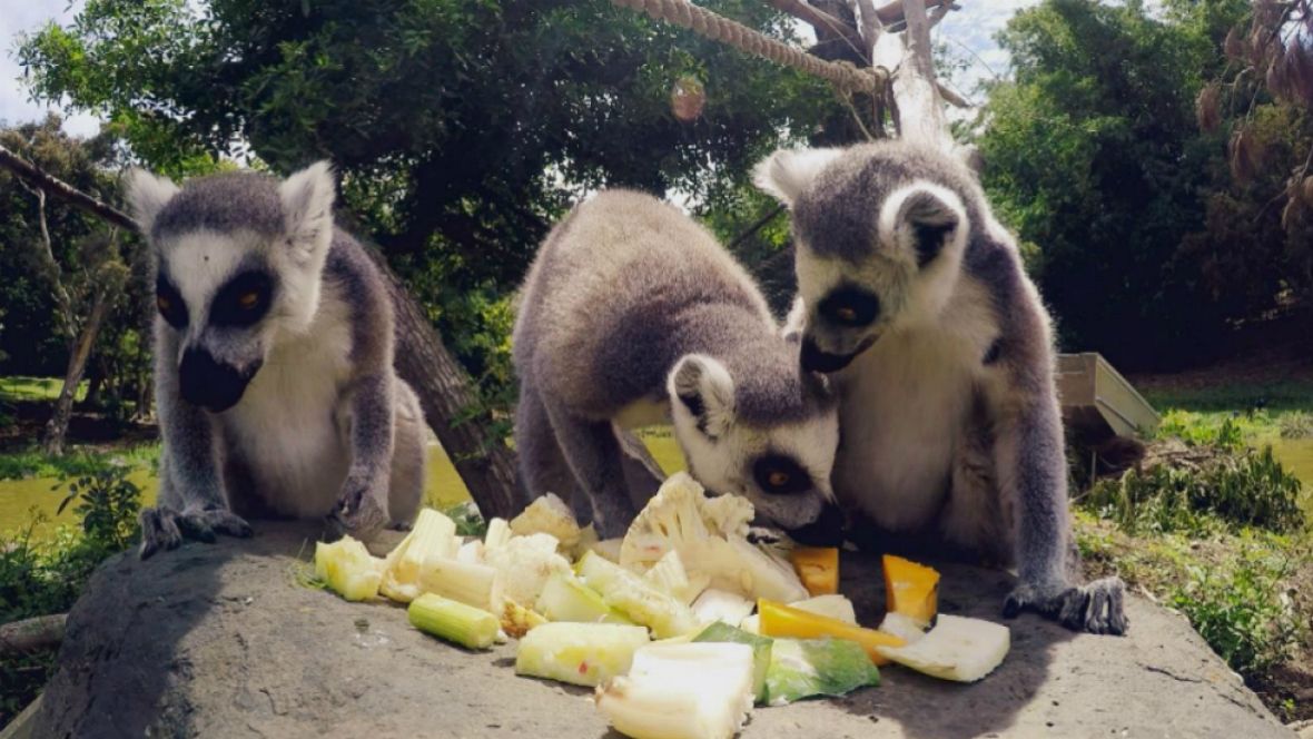 Espa�oles en el mundo - 'Espa�oles en el mundo' viaja a Nueva Caledonia, este jueves a las 22.40 horas en La 1 