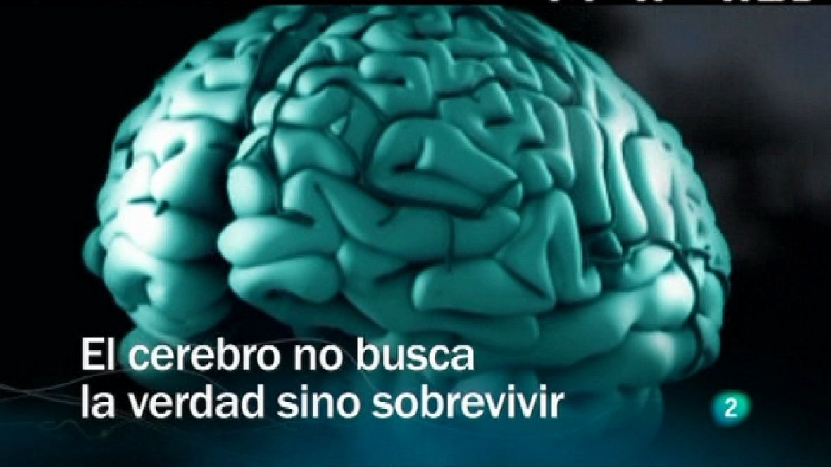 Resultado de imagen para cerebro sobrevivir