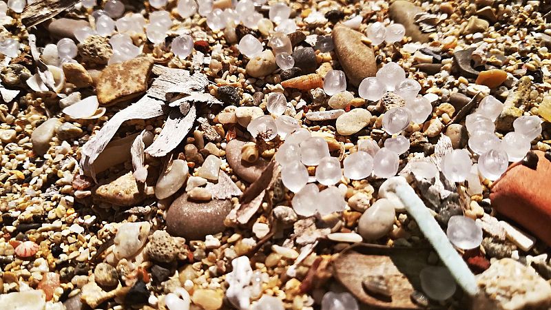 El palabrero - Recogiendo pélets - 16/01/24 - Escuchar ahora