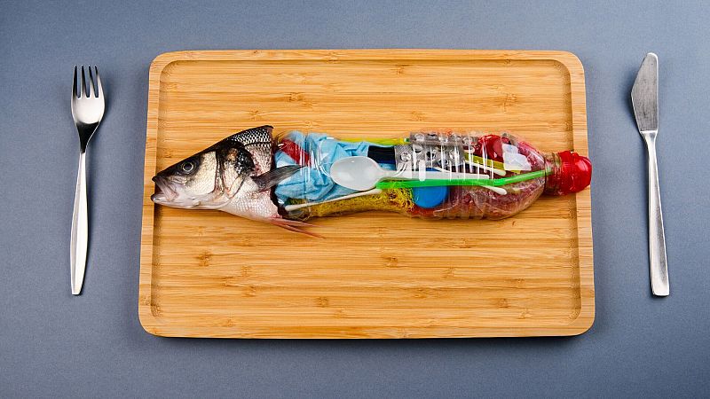 El gallo que no cesa - ¿Qué son los obesógenos y cómo actúan en nuestro cuerpo? - Escuchar ahora