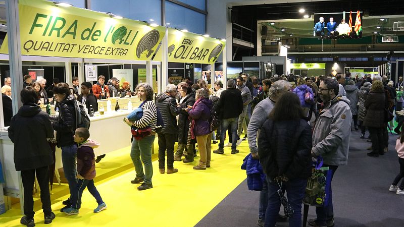 Denuncien especulació amb el preu de l'oli d'oliva