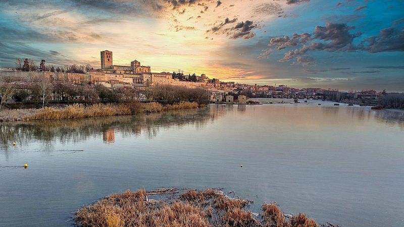 El gallo que no cesa - Beatriz Barrio y su defensa del patrimonio cultural zamorano - Escuchar ahora