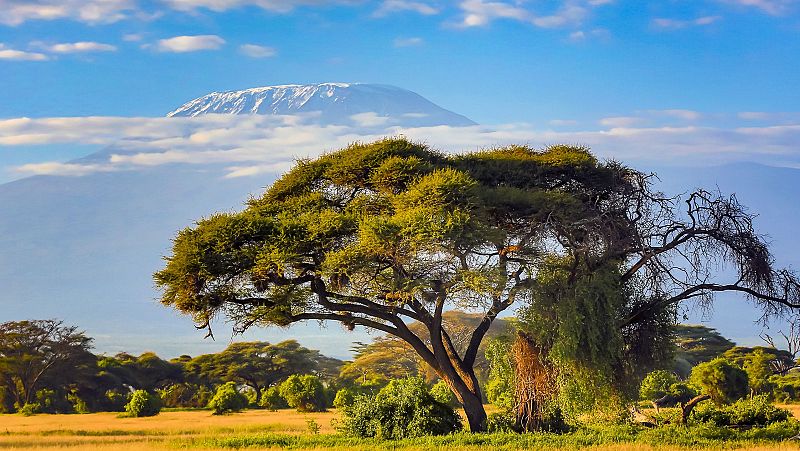 Españoles en el exterior - Misioneros en Tanzania - 04/02/24