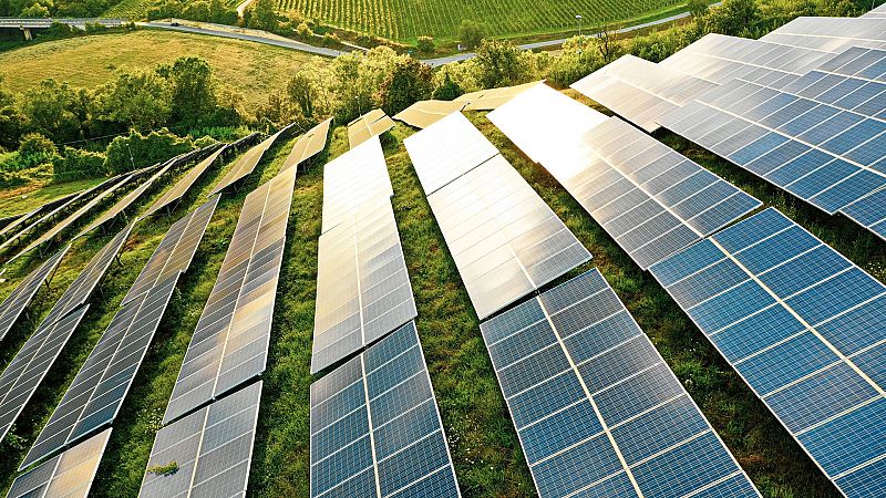 Vida verde - Por qué decir no a la tramitación exprés de renovables - 03/02/24