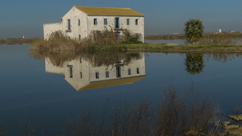 Reserva natural - Restaurar humedales, renaturalizar el campo - 01/02/24 - Escuchar ahora