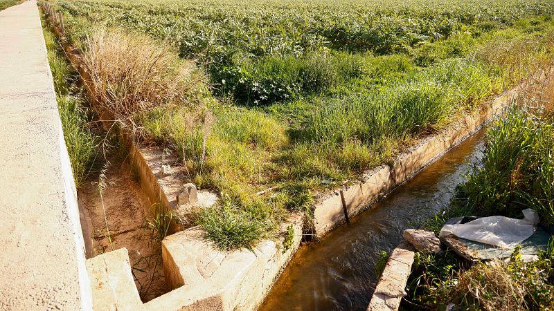 Más cerca - La sequía agravada por "el agua que se pierde por el camino"