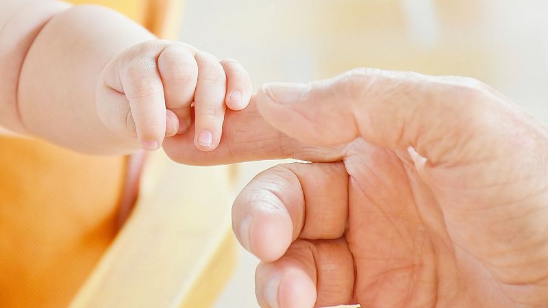 Lletra Lligada - Instruccions per educar criatures