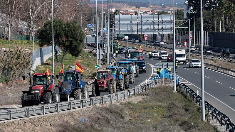 Más cerca – Andrés Góngora (COAG): "No podemos generar una ruptura dentro del sector" - Escuchar ahora