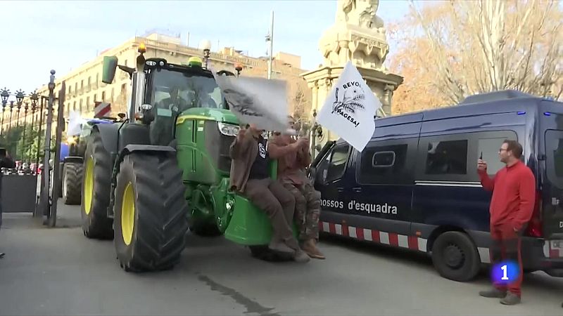 Vida Verda - Burocràcia que ofega i Agroindústria que escanya - Escoltar Ara